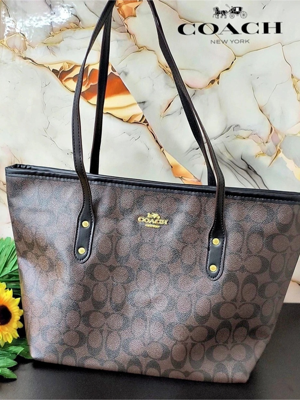 Coach City Tote in Signature Canvas Brown & Black
